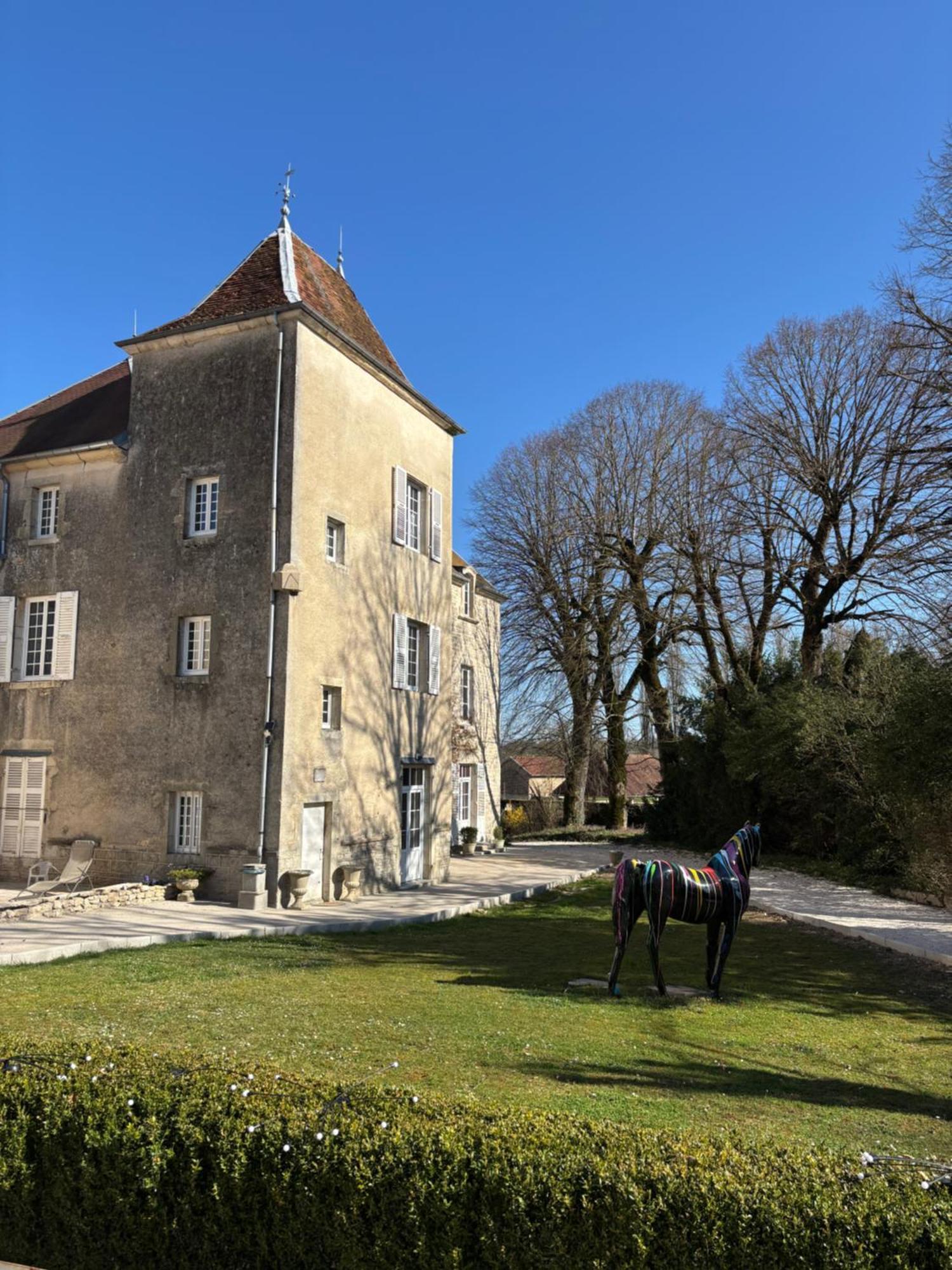 Chateau La Hussardiere Dampierre-sur-Salon Zewnętrze zdjęcie